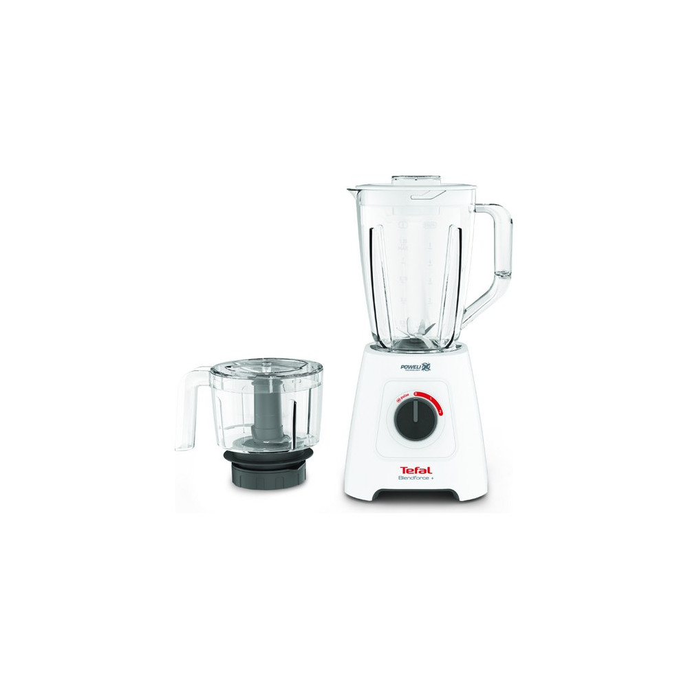 테팔 블렌드포스 플러스 대용량 다지기 BL42X1KR